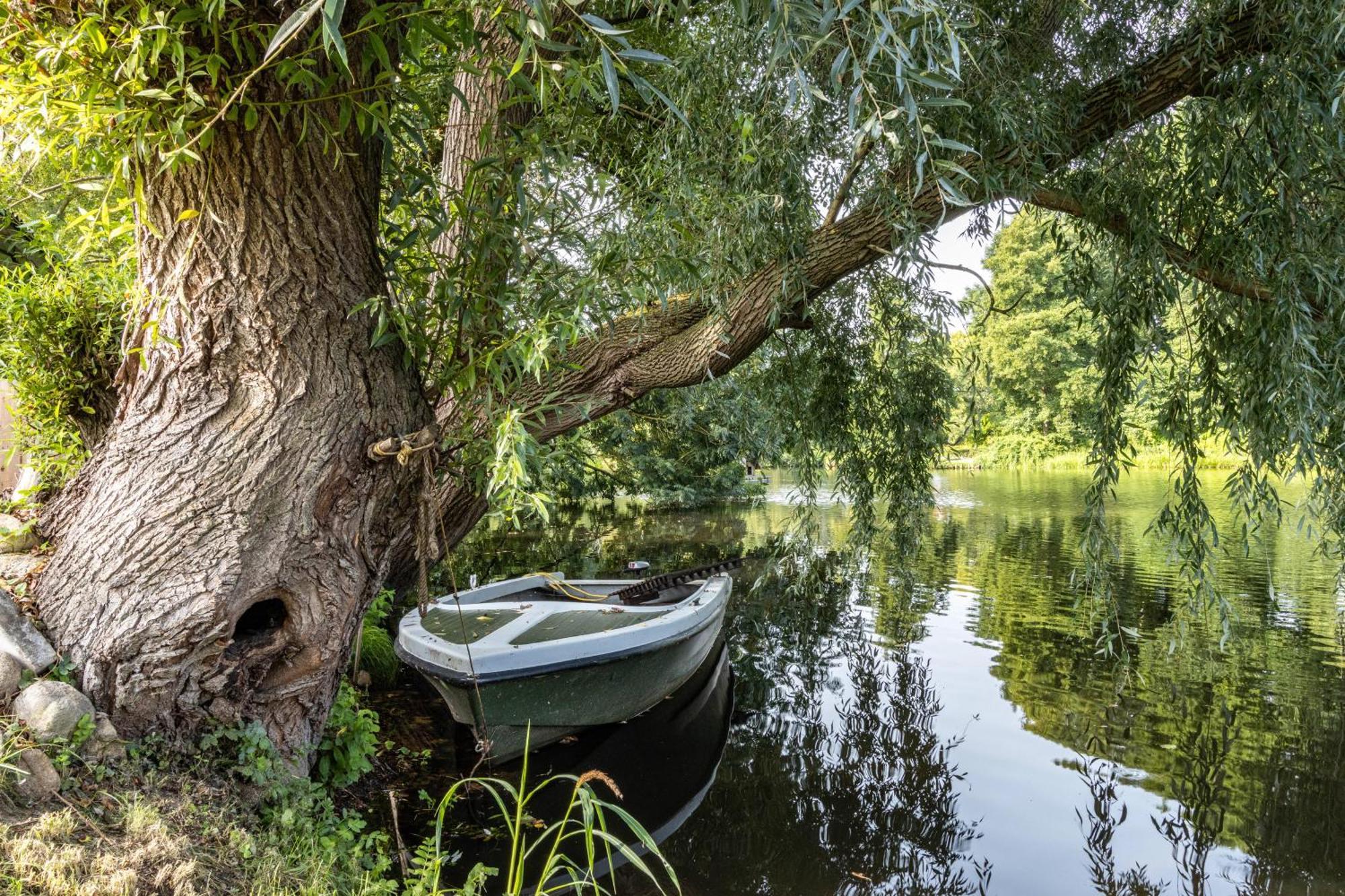 Ferienwohnung Am Parksee Bad Bodenteich Dış mekan fotoğraf